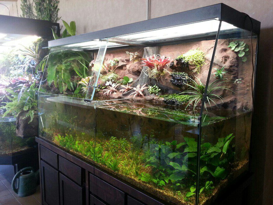 Creative Small Fish Tank Click The Image To Open In Full