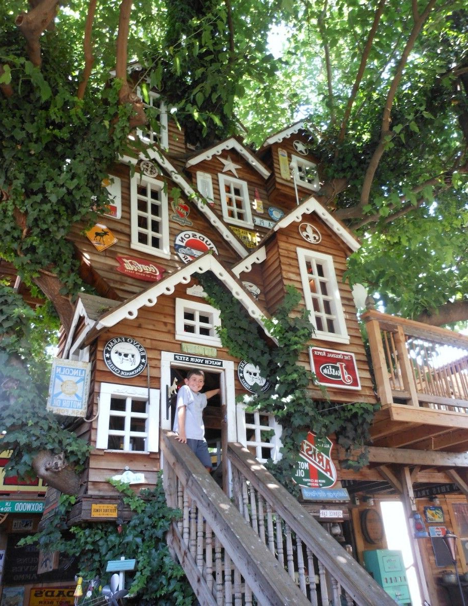 Cute Tree Houses Tree House Design Ideas For Kids And Adults Cute And Remarkable Tree
