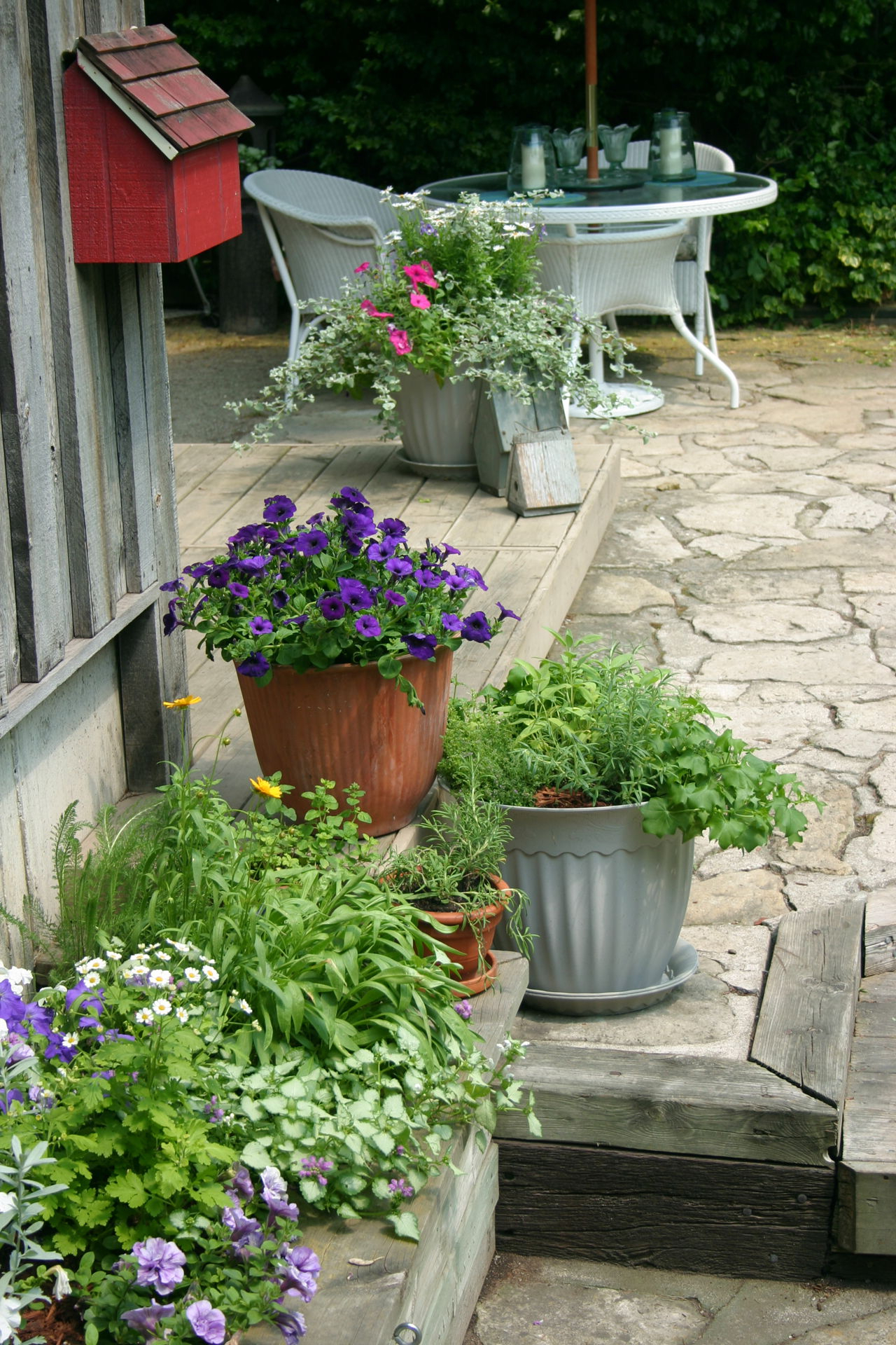 Fabulous And Innovative Ideas For Backyard Landscaping On A Budget Gardenerdy