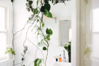 Find The Perfect Houseplant For Your Home Indoor