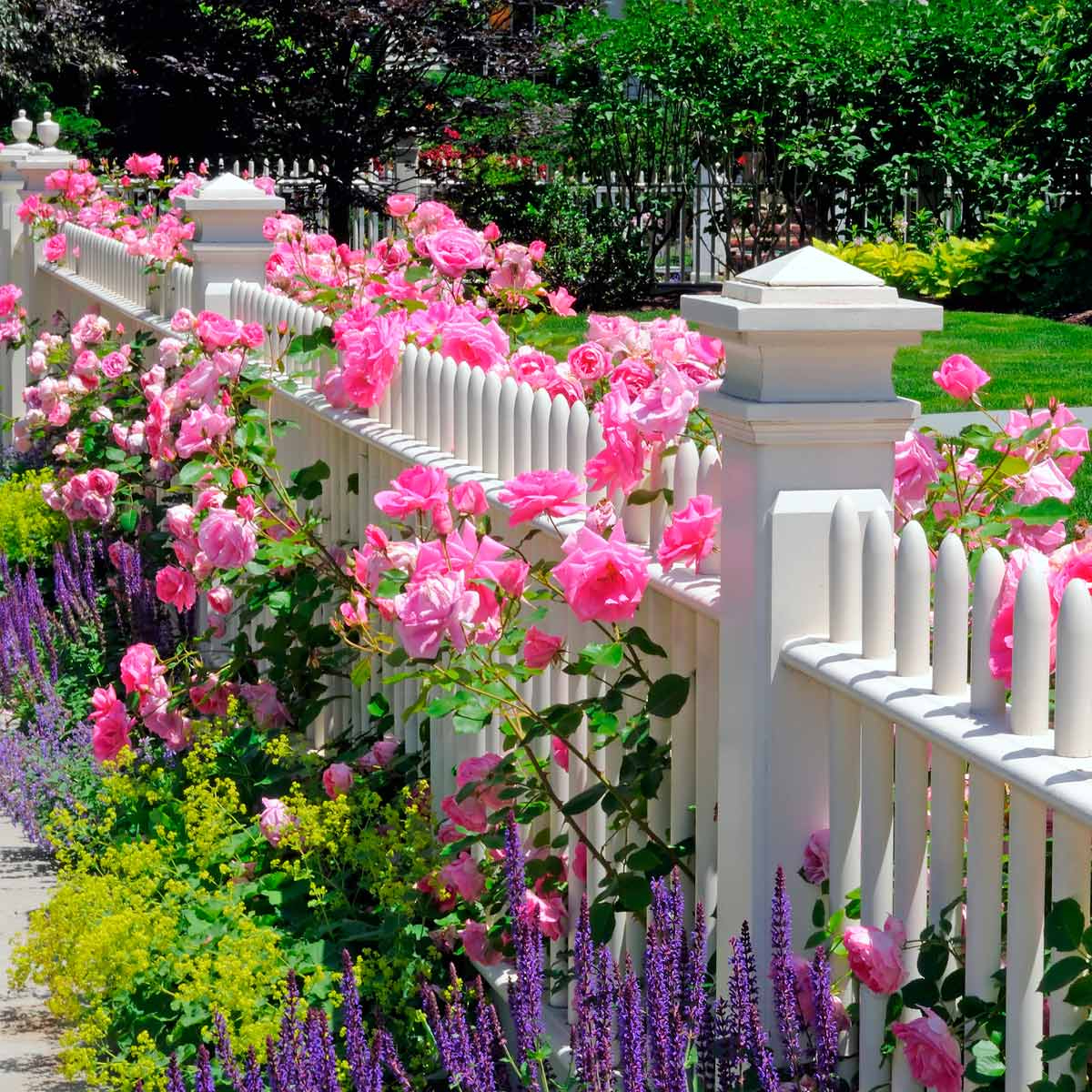 Flower Bed Ideas For The Front Of Your House Family Handyman