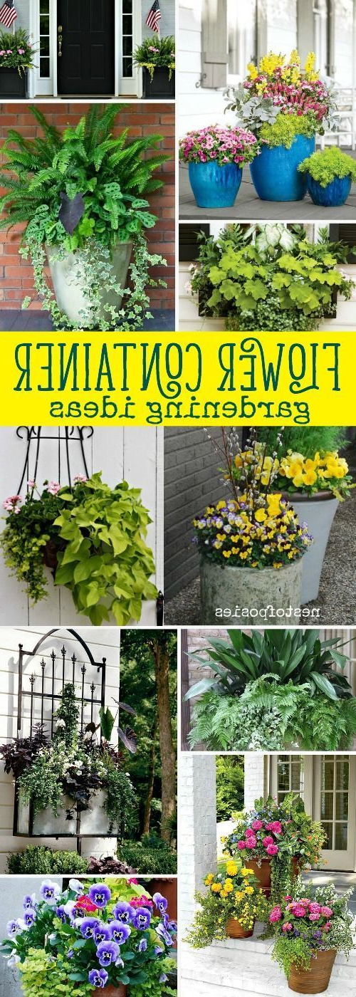 Flower Container Gardening Ideas Container Flowers