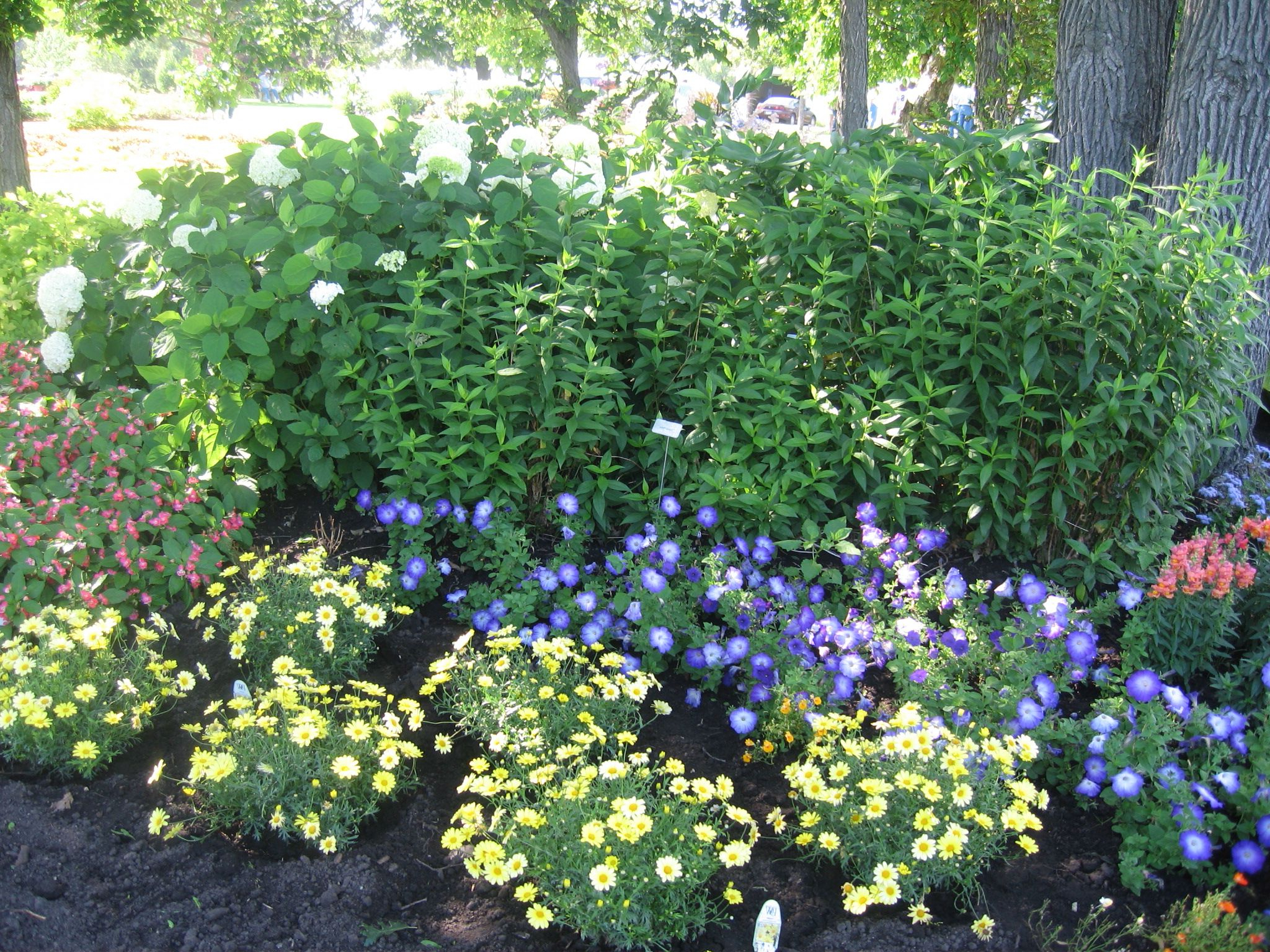 Flower Gardens How To Turn Your Flower Garden Into A