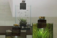 Fluval Chi 19 And 25 Litre George Farmer On Flickr