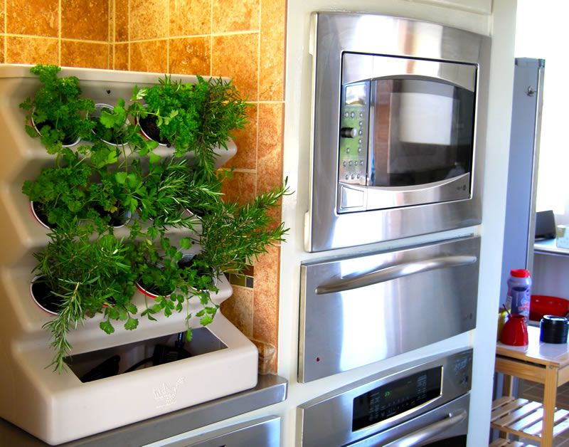 Garden Charming Home Indoor Organic Vegetable Garden Idea