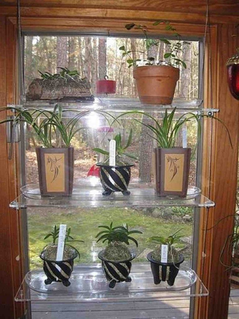 Glass Window Shelves For Plants Window Shelf For Plants