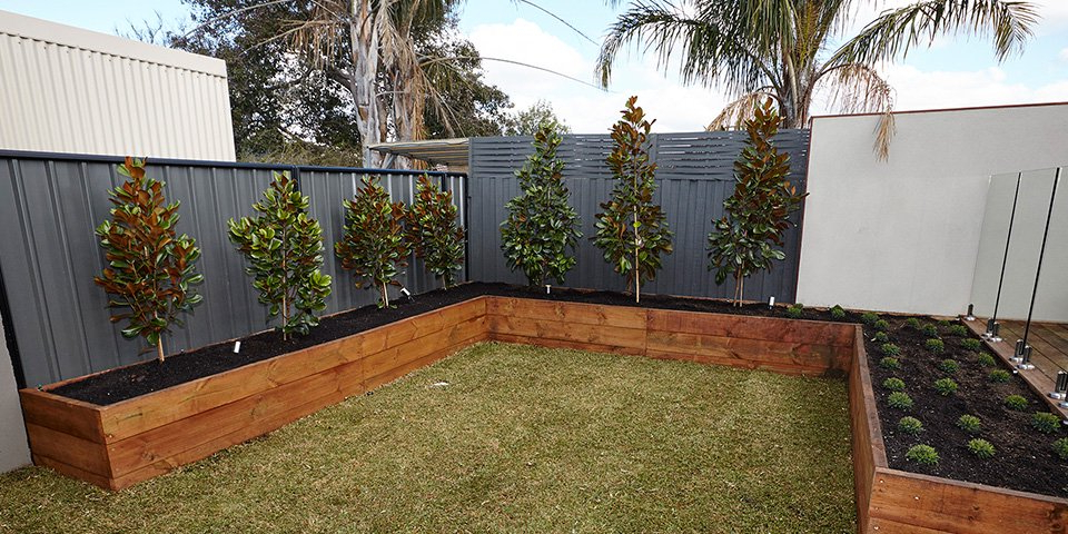 Great Ideas For Outdoor Privacy Bunnings Warehouse