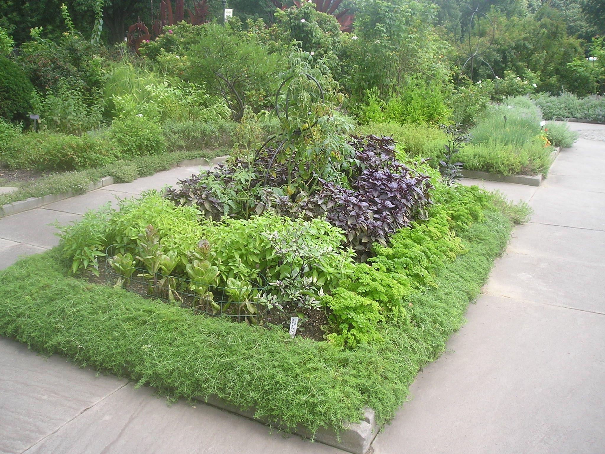 Herb Gardening For A Healthy You Herb Garden Design
