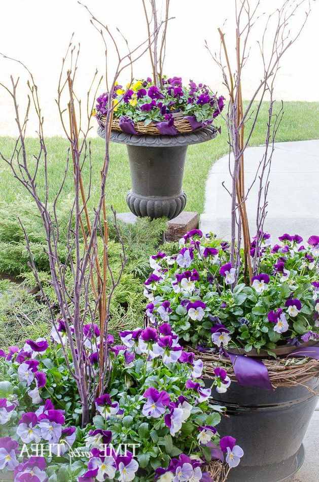 How To Create A Gorgeous Pansy Outdoor Planter In Four