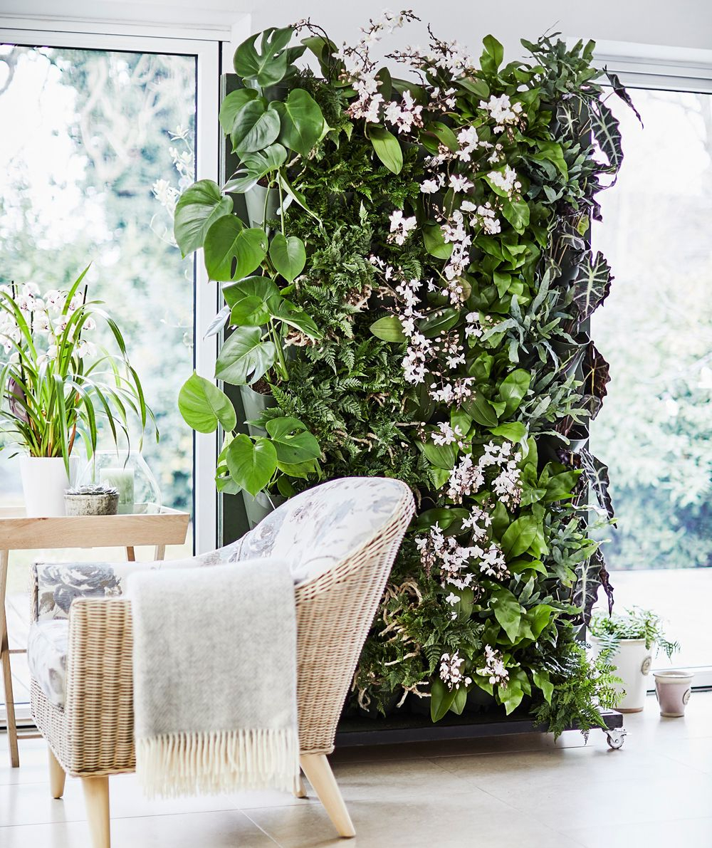 How To Make A Living Plant Wall Indoor Plant Wall Plant