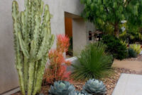 How To Use Cacti In Outdoor Decor Outdoortheme
