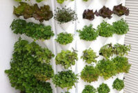 Hydroponic Gardening For New Beginners21 Vertical