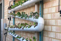 Indoor Gardening With Hydroponics Breakthrough With