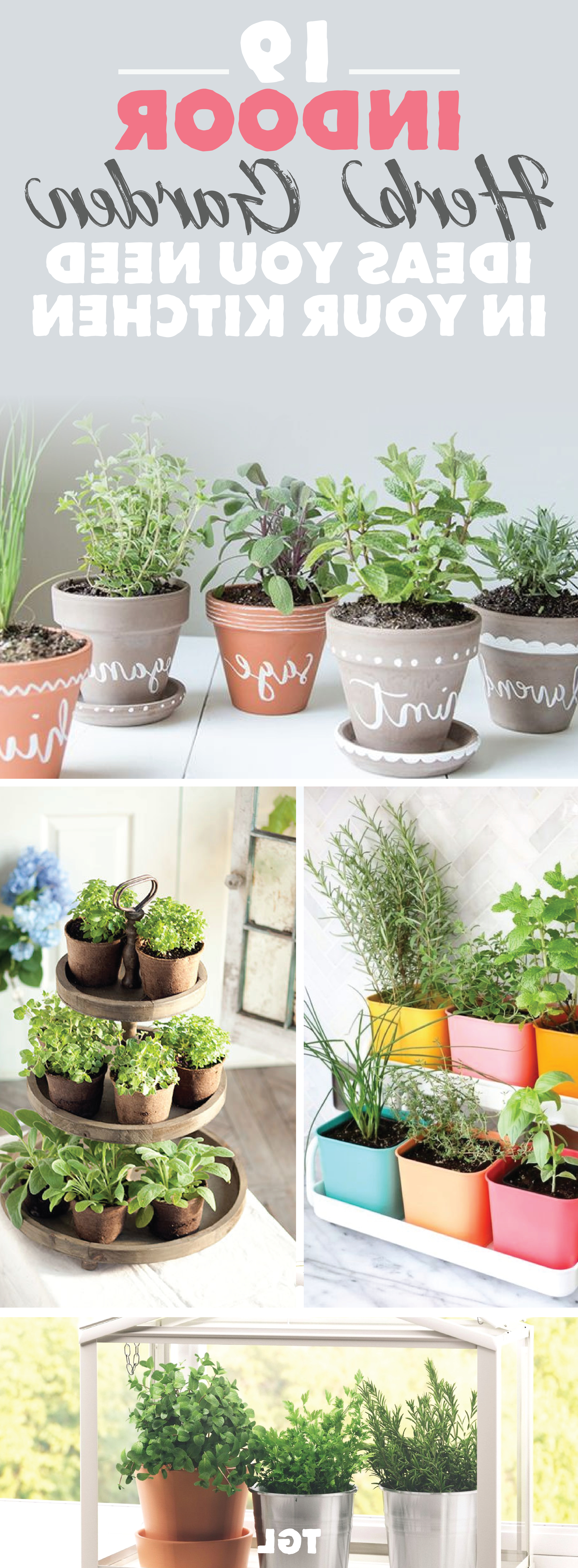 Indoor Herb Garden Diy Herb Garden Ideas Indoor Plant