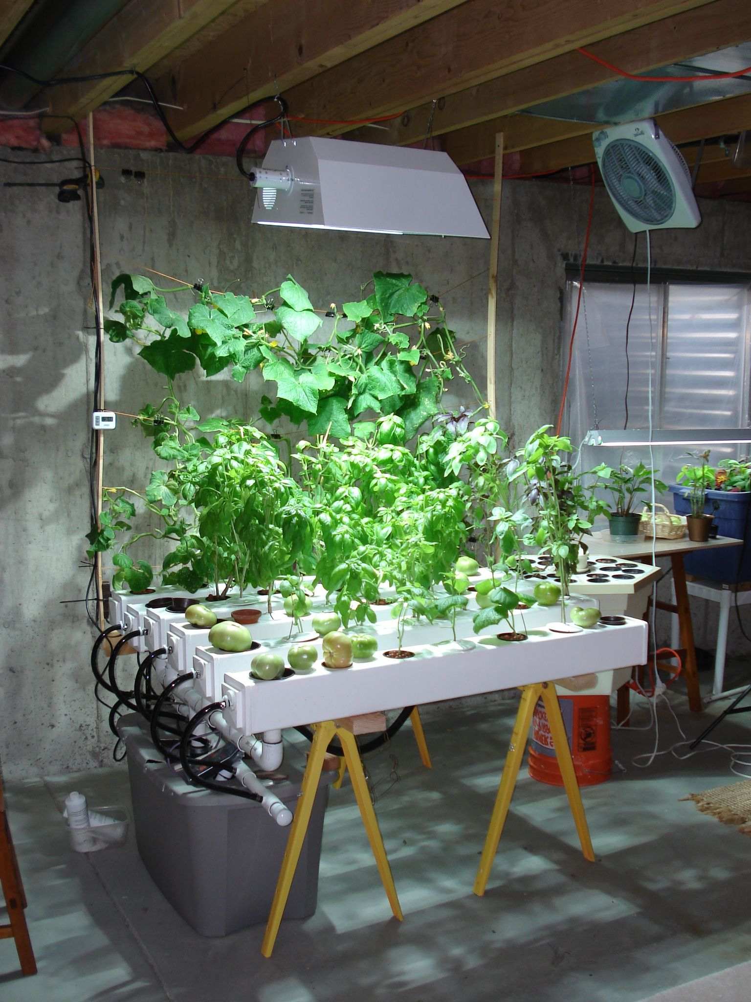Indoor Hydroponic Garden Under Hid Metal Halide Plant Grow