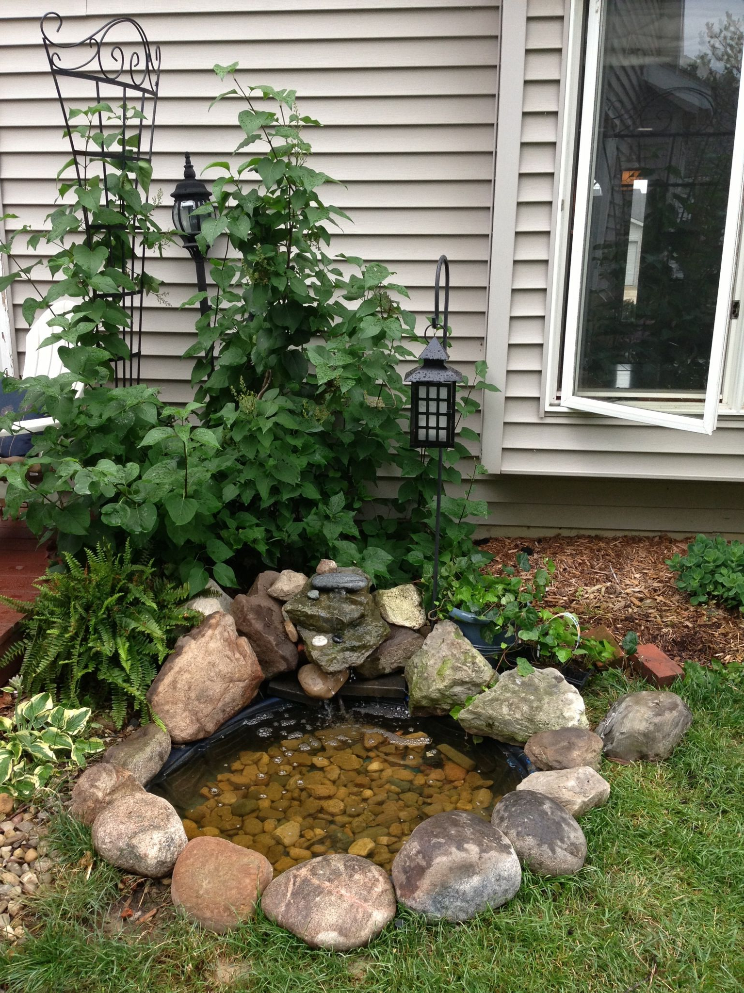 Joel Added A Small Waterfall And Goldfish Pond Small