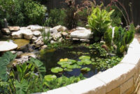Koi Pond Designs Ponds Backyard Water Features In The