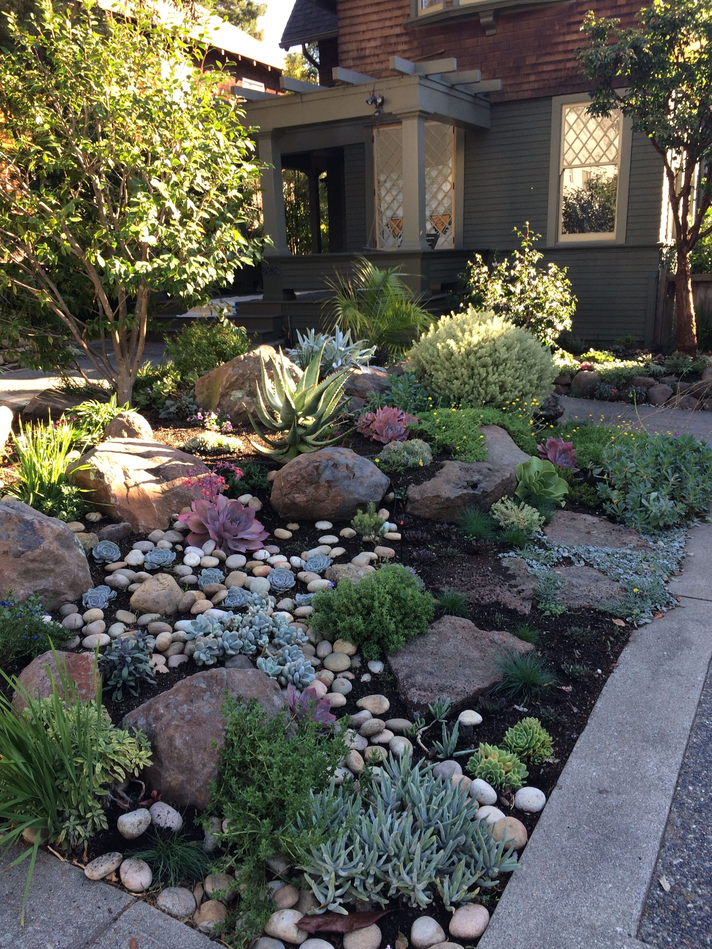 Like The Use Of Rocks And Succulents Front Yard
