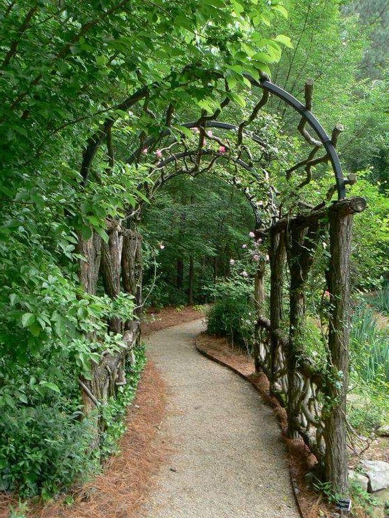 Living Willow Tunnel For Garden And Backyard Everything