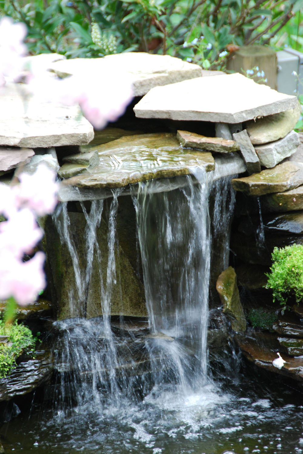Main Line Ponds Water Garden Waterfall Designs