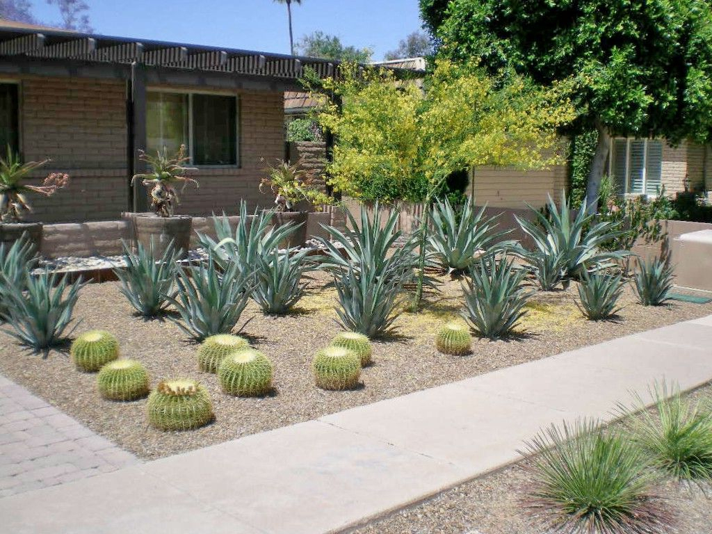 Modern Garden Landscape Design Phoenix Scottsdale With