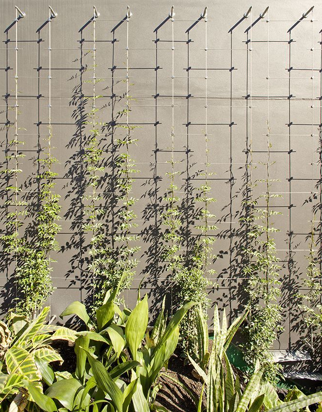 Most Amazing Living Wall And Vertical Garden Ideas
