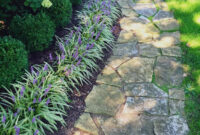 My Liriope And Boxwood Lined Pathway Boxwoodlandscaping