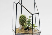 Nest Terrarium Inspiration Plant Decor Glass Terrarium