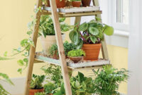 Old Ladders Repurposed As Home Decor Herbs Indoors Diy
