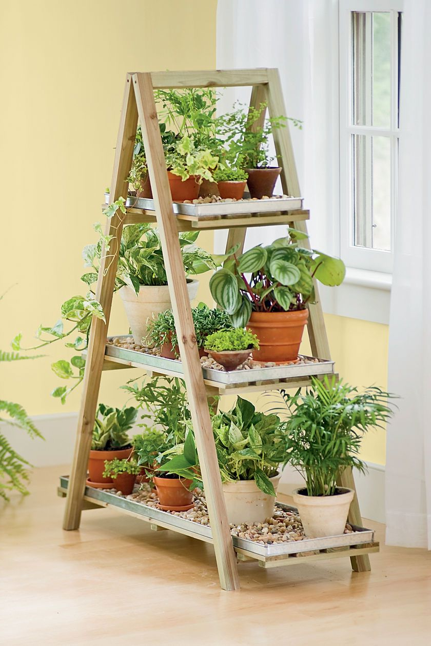 Old Ladders Repurposed As Home Decor Herbs Indoors Diy