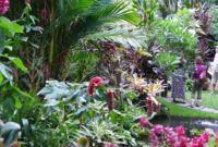 P1060893 Tropical Garden Tropical Landscaping