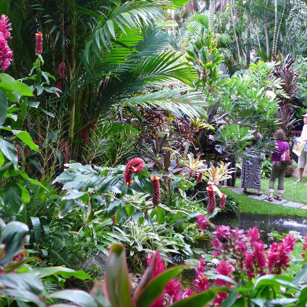 P1060893 Tropical Garden Tropical Landscaping