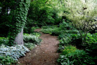Path Design Mulch Flanked With Lush Plantings For