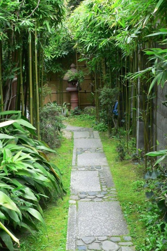 Perfect Little Side Garden Garden Pathway Bamboo Garden