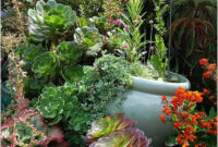 Picturesque Cactus Garden Ideas