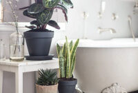Pin Koho Nes On Home Bathroom Plants Best Bathroom