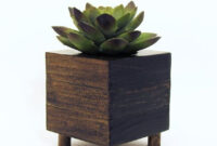 Small Wood Succulent Planter Box Modern Cube Plant Holder