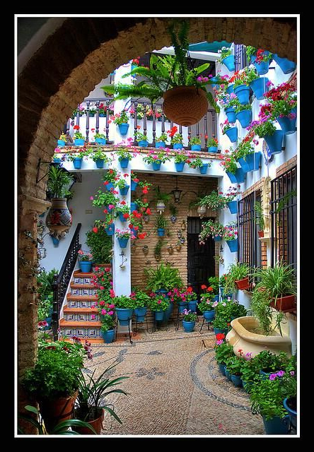 Spain In Uk On In 2020 Mexican Courtyard Mexican Garden