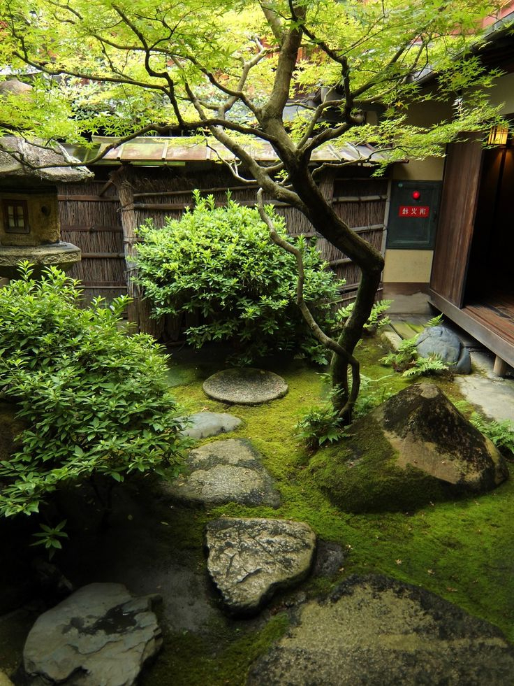 The 25 Best Small Japanese Garden Ideas On Pinterest