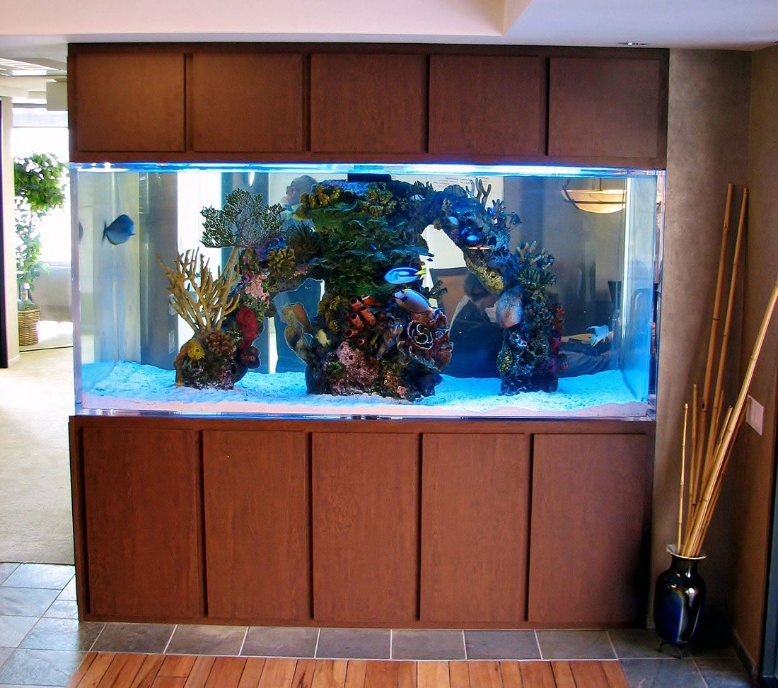 This Is A 500 Gallon Custom Aquarium Its Viewable From