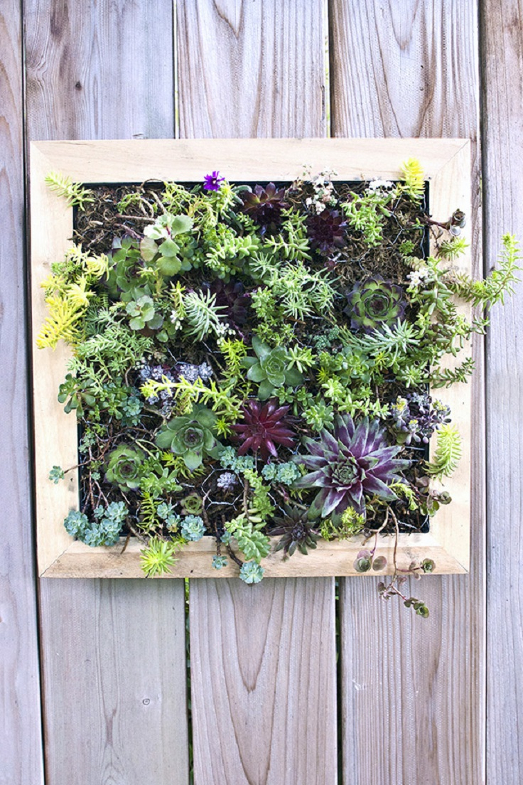 Top 10 Diy Outdoor Succulent Garden Ideas Top Inspired