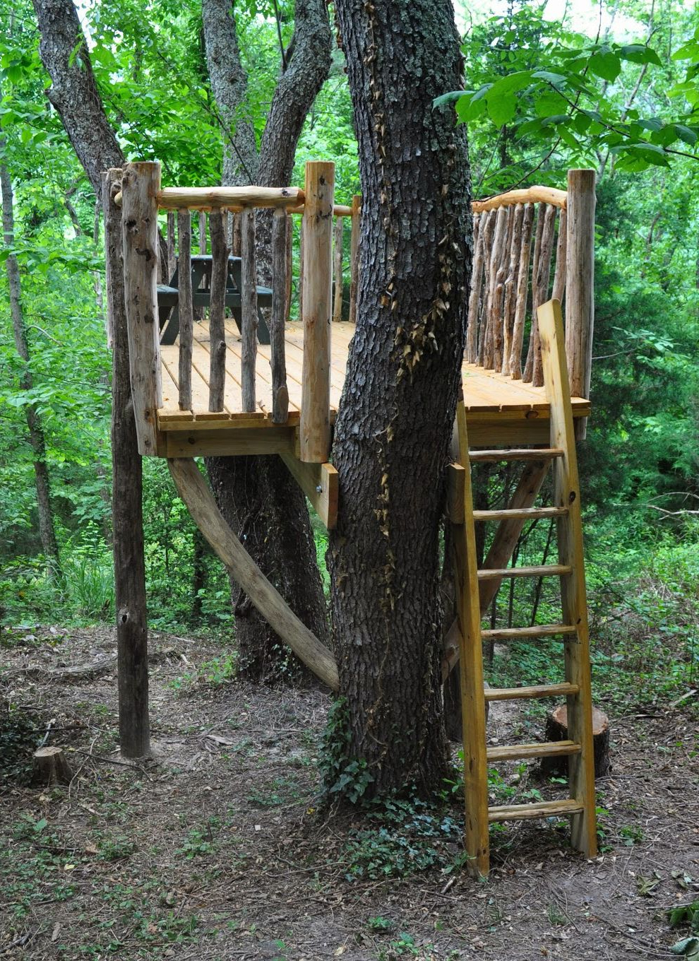 With Kid Safe Rustic Railings An Easy To Maneuver Ladder