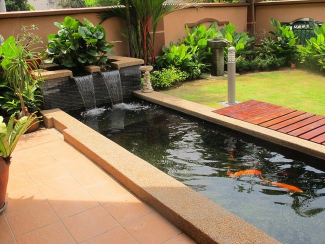 Wonderful Modern Patio Ideas With Small Koi Fish Pond And